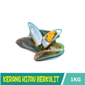 Kerang Hijau Kulit
