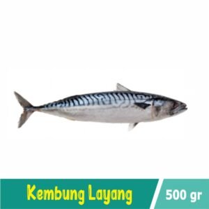 Ikan Kembung Layang
