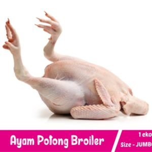 Ayam Broiler Size JUMBO