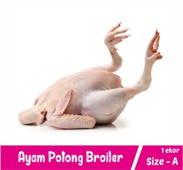 Ayam Broiler Size A