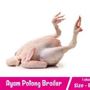Ayam Broiler Size B