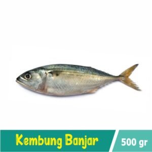 Ikan Banjar 500 gram