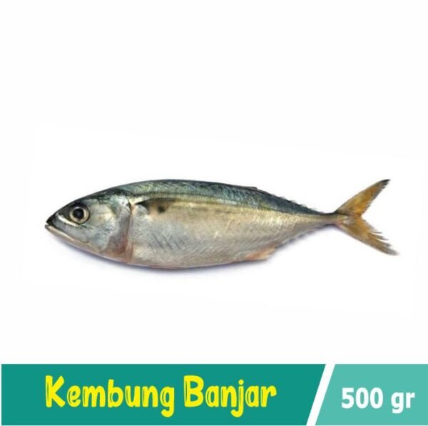 Ikan Banjar 500 gram