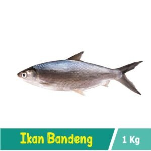 Ikan Bandeng