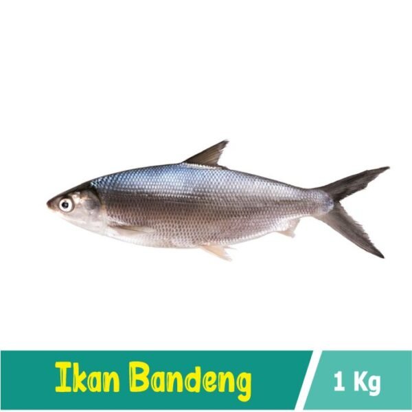 Ikan Bandeng