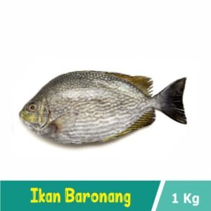 Ikan Baronang