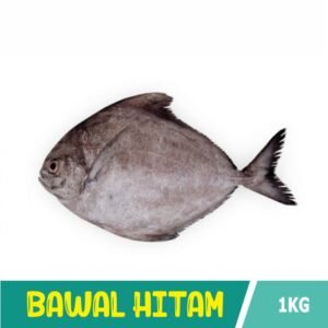 Ikan Bawal Hitam/ Bawal Abu