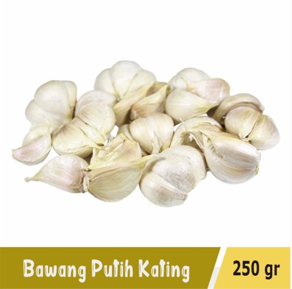 Bawang Putih Kating
