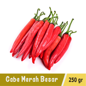 Cabe Merah Besar