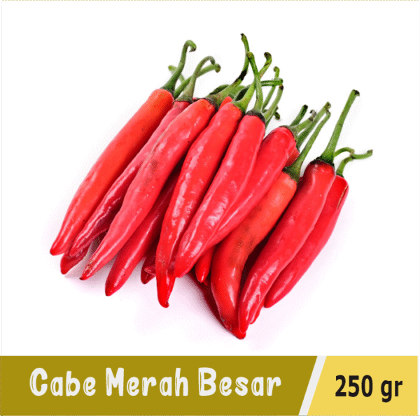 Cabe Merah Besar