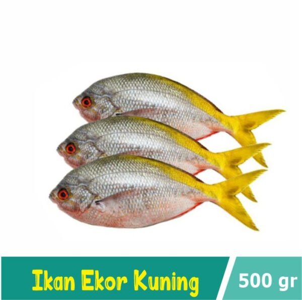 Ikan Ekor Kuning