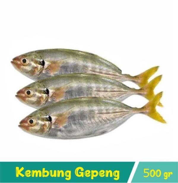 Ikan Kembung Gepeng