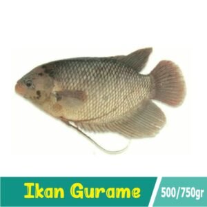 Ikan Gurame 1 Ekor 750 gr