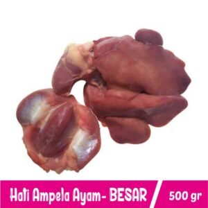 Hati Ampla Ayam Besar