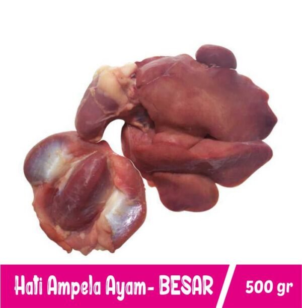 Hati Ampla Ayam Besar