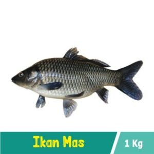 Ikan Mas