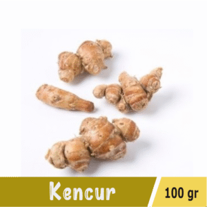 Kencur
