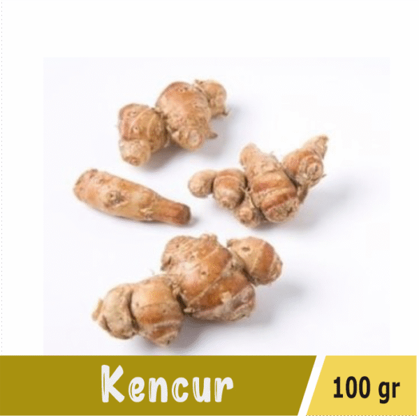 Kencur