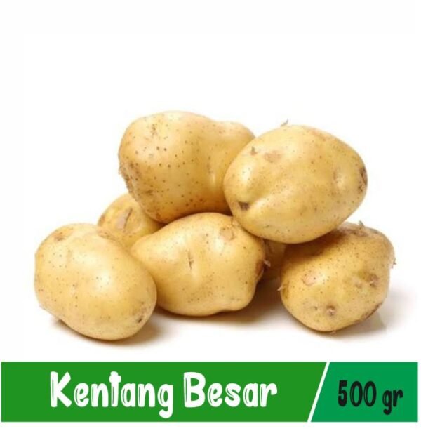 Kentang Besar