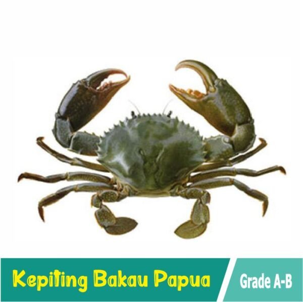 Kepiting Bakau Papua Grade A