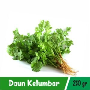 Daun Ketumbar