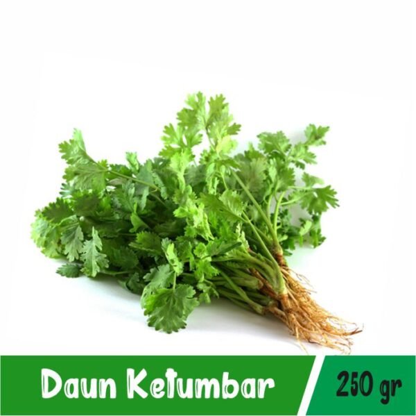 Daun Ketumbar