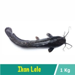 Ikan Lele