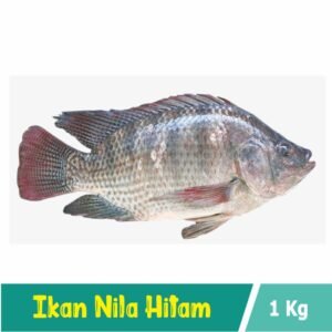 Ikan Mujair / Nila Hitam