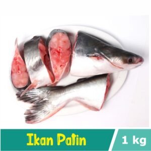 Ikan Patin Segar