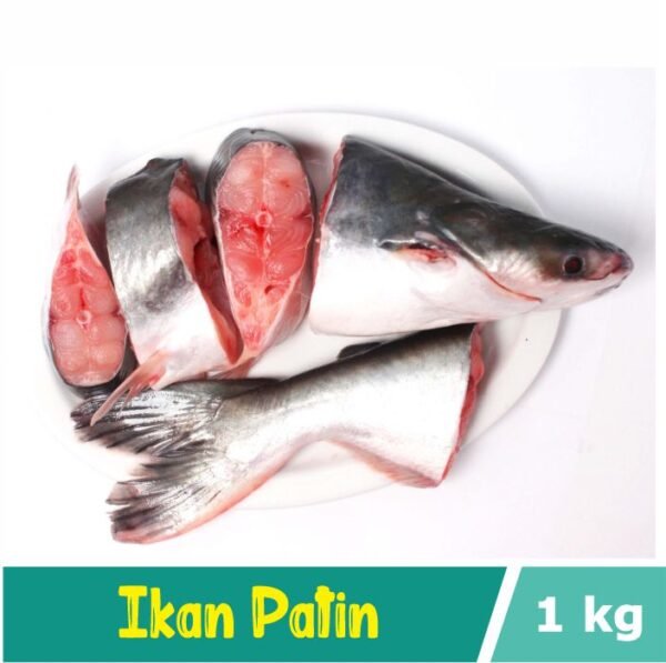 Ikan Patin Segar
