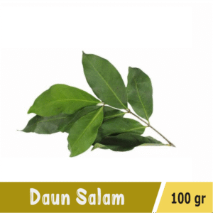Daun Salam