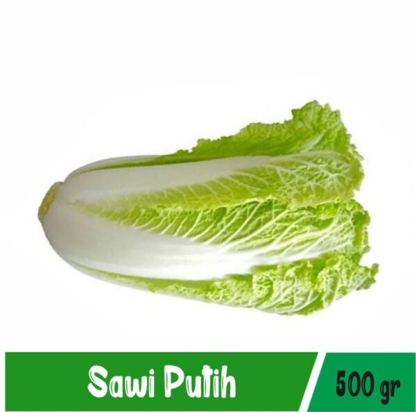 Sawi Putih