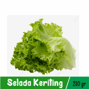 Selada Keriting