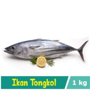 Tongkol Potong Tanpa Kepala
