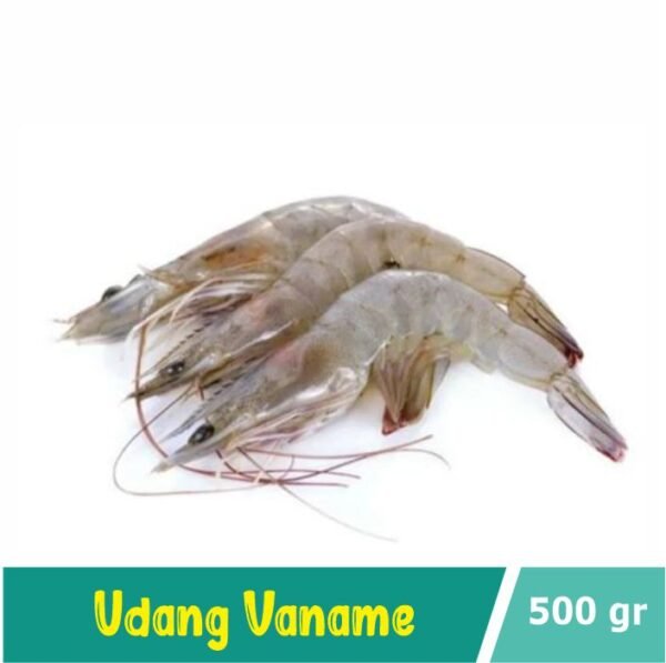 Udang Vaname Segar Size XL