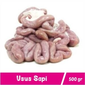 Usus/Iso Sapi