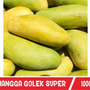 Mangga Golek