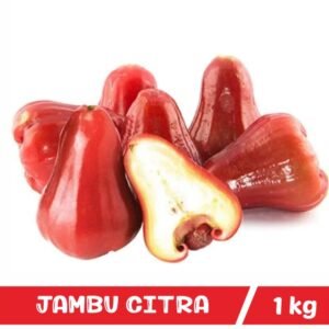 Jambu Air Citra
