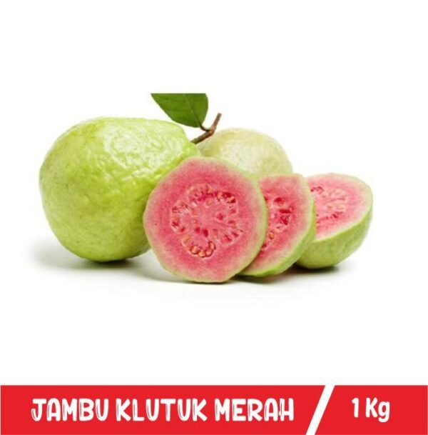 Jambu Klutuk Merah