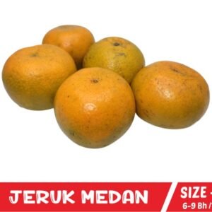 Jeruk Medan Super Size-L