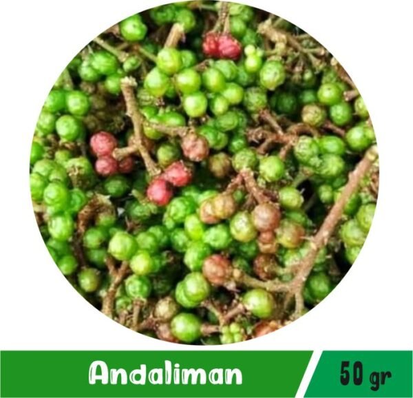 Andaliman Segar