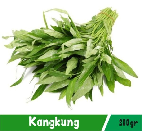 Kangkung Segar