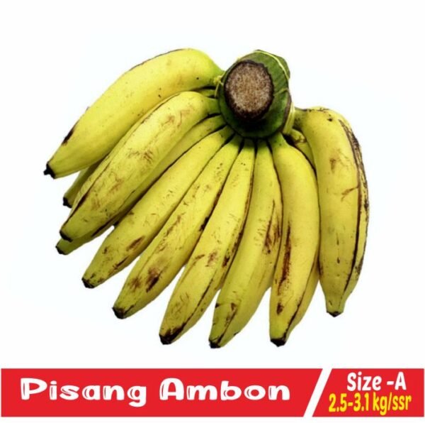 Pisang Ambon Size A