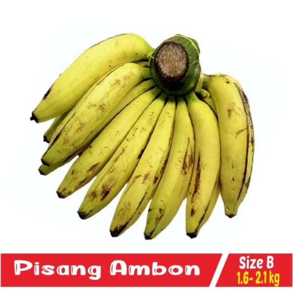 Pisang Ambon Size B