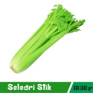 Seledri Stik Import