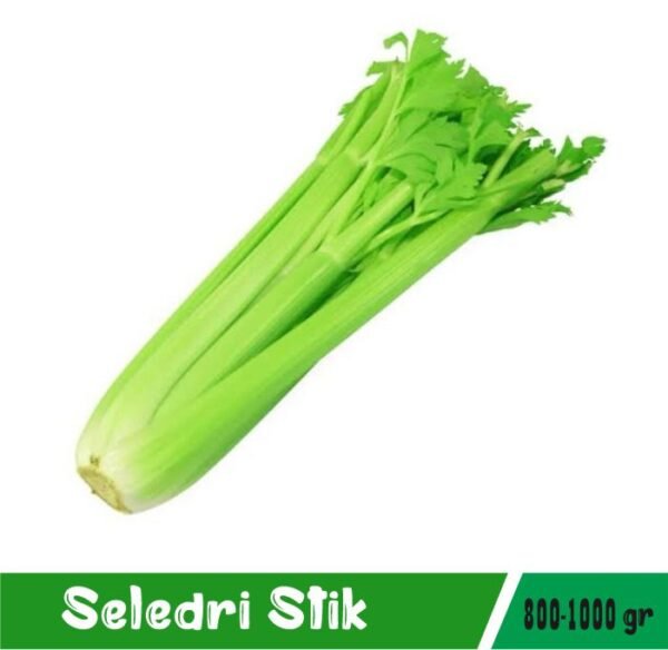 Seledri Stik Import