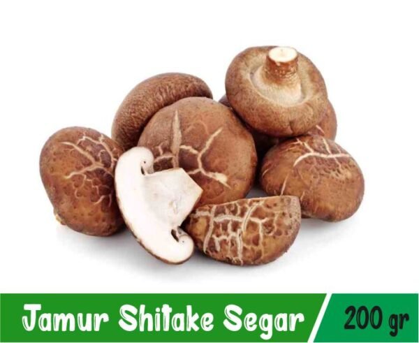 Jamur Shitake Segar